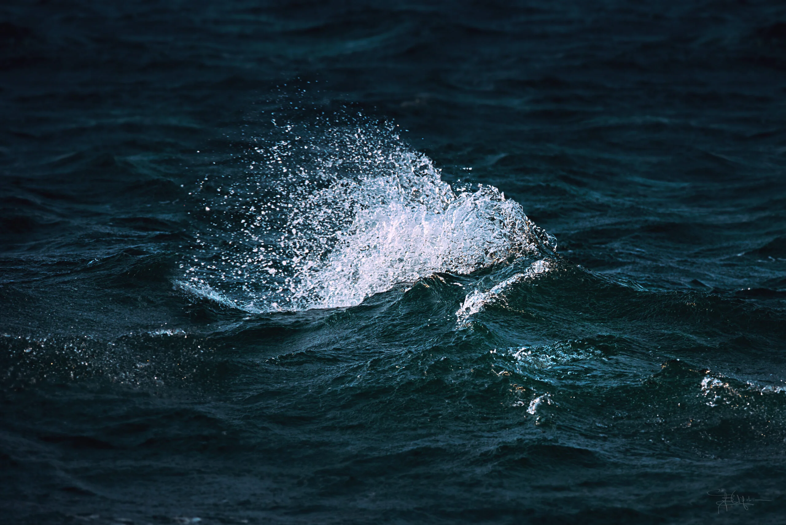 750_5946-scaled-2.jpg