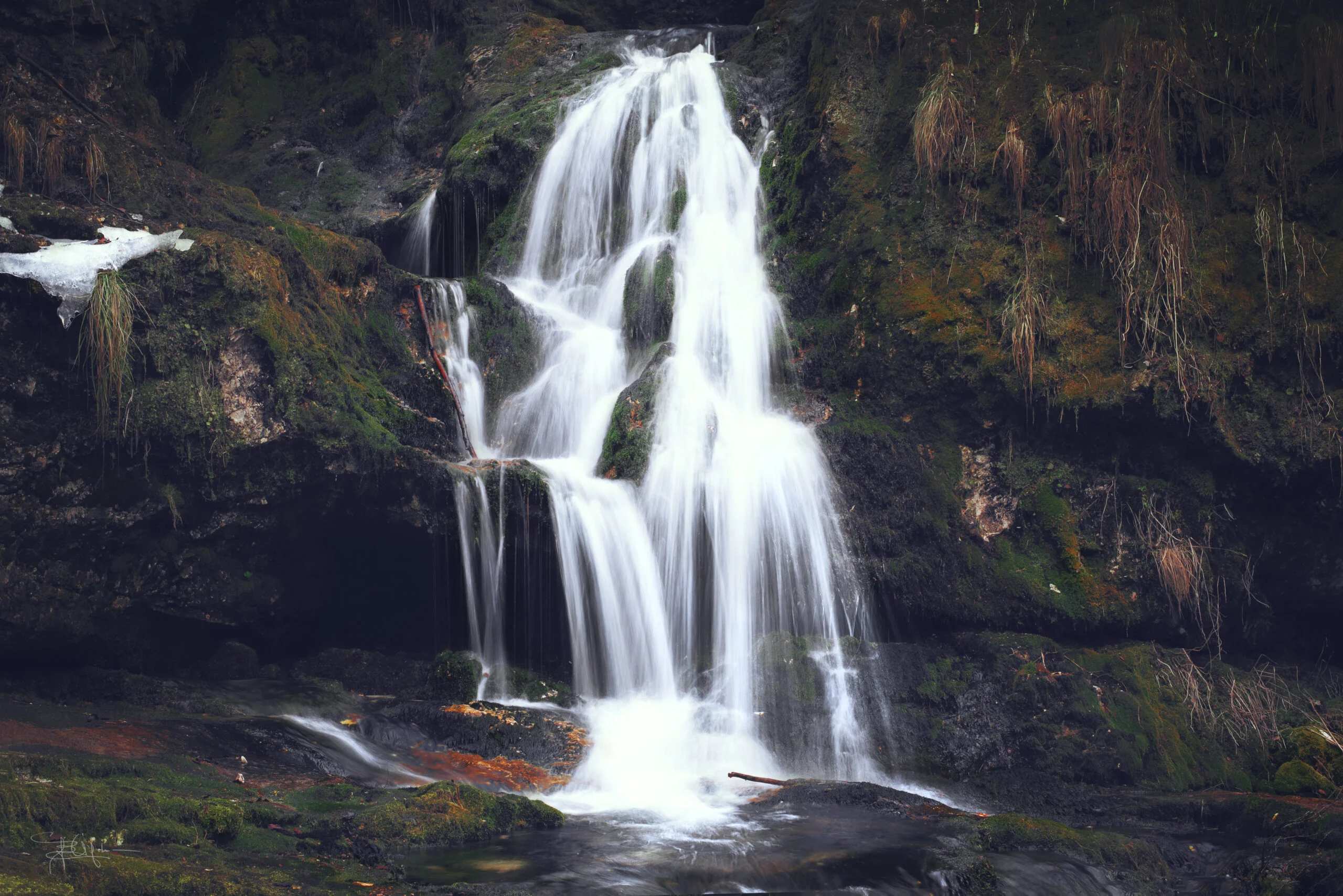 DSC_2076-scaled-2.jpg