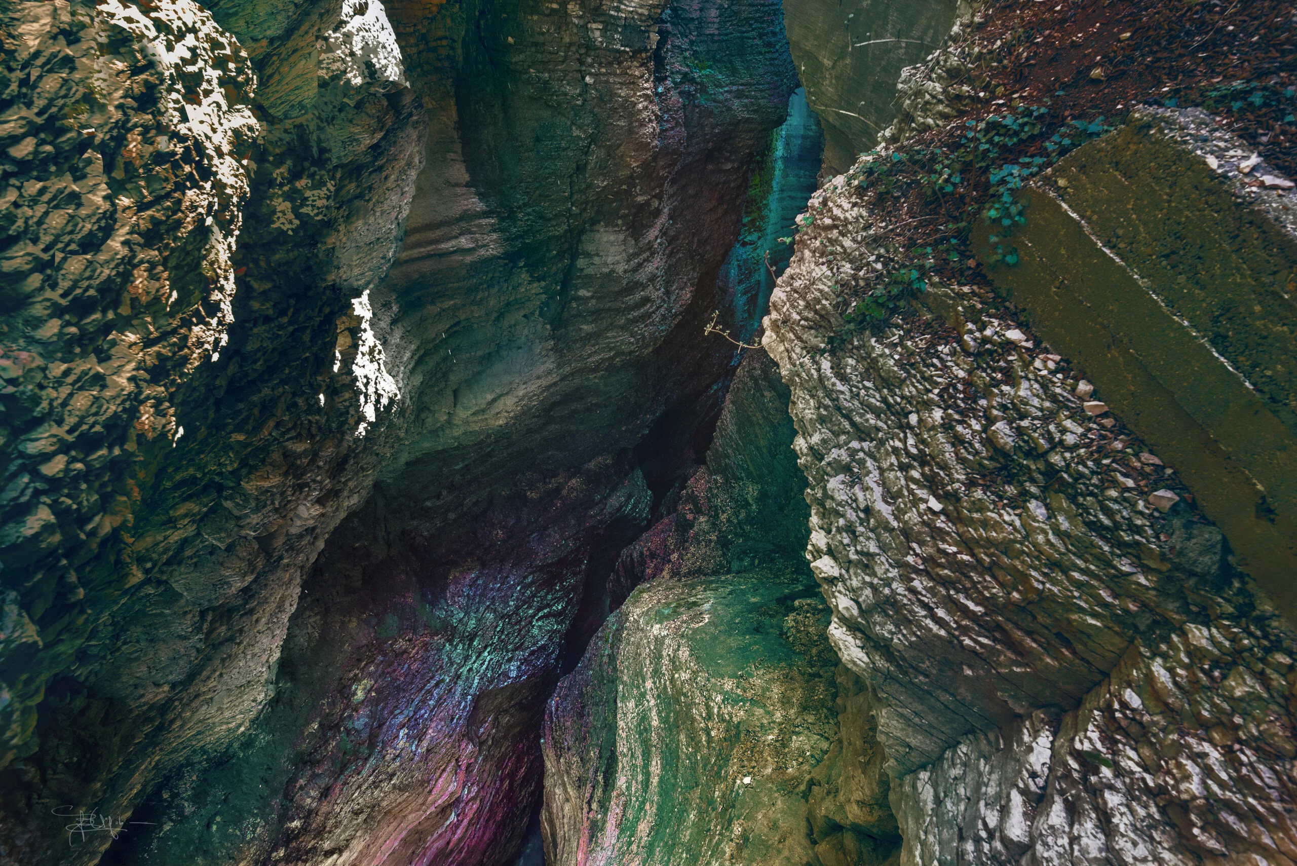 DSC_7141blu-scaled-2.jpg