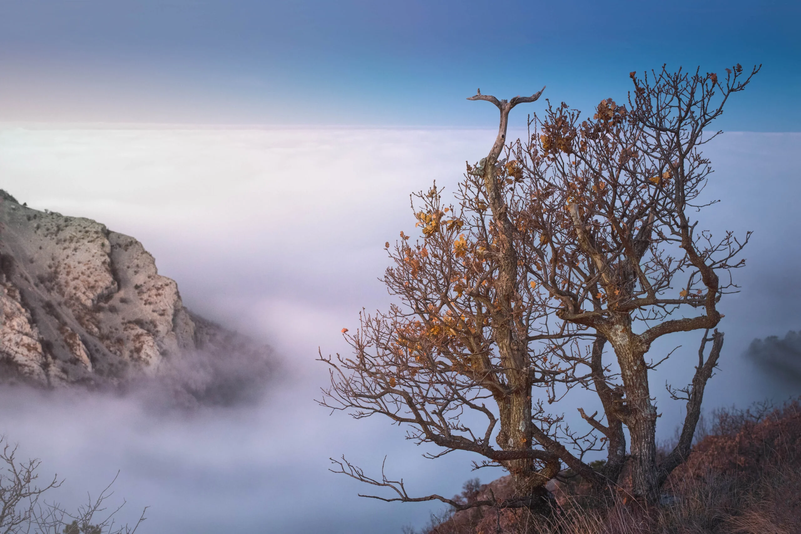 Nebbia-scaled-2.jpg